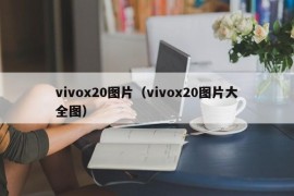 vivox20图片（vivox20图片大全图）