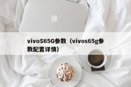 vivoS65G参数（vivos65g参数配置详情）