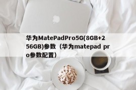 华为MatePadPro5G(8GB+256GB)参数（华为matepad pro参数配置）