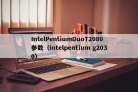 IntelPentiumDuoT2080参数（intelpentium g2030）