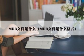 MDB文件是什么（MDB文件是什么格式）