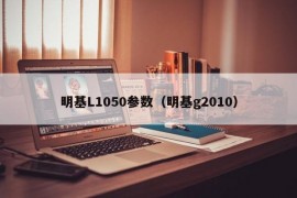 明基L1050参数（明基g2010）