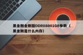 黑金刚金刚版DDRII8001GB参数（黑金刚是什么内存）