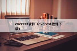 everest软件（everest软件下载）