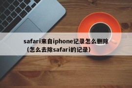 safari来自iphone记录怎么删除（怎么去除safari的记录）