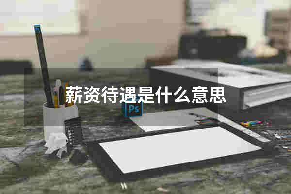 薪资待遇是什么意思