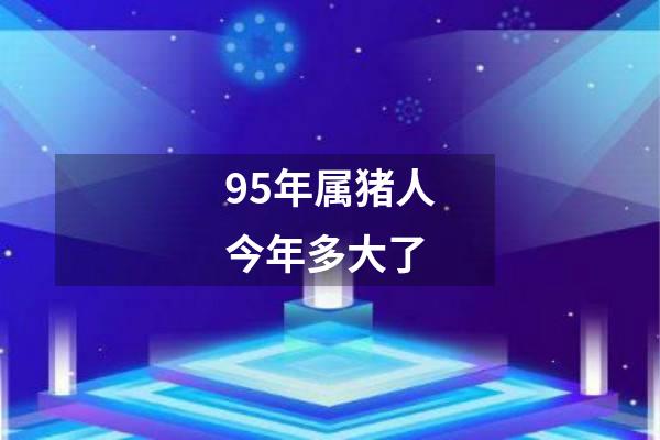 95年属猪人今年多大了