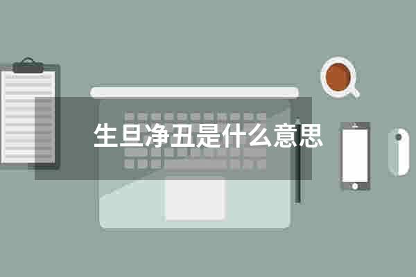 生旦净丑是什么意思