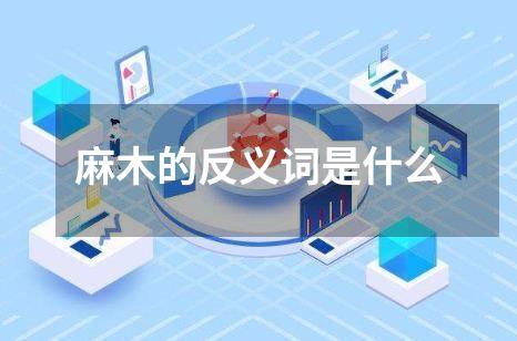 麻木的反义词是什么