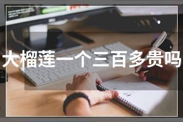 大榴莲一个三百多贵吗