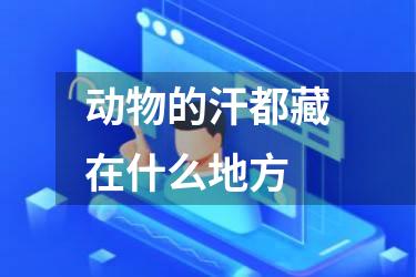 动物的汗都藏在什么地方