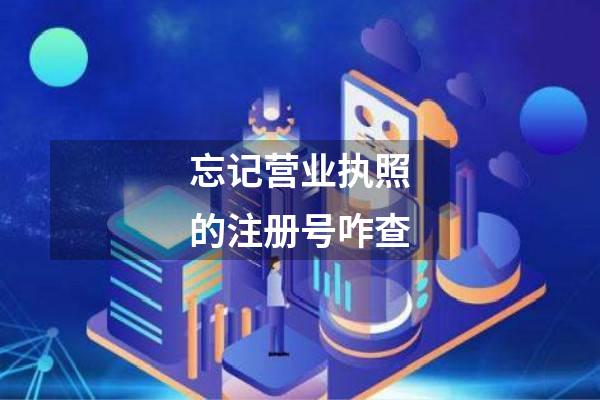 忘记营业执照的注册号咋查