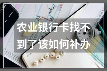 农业银行卡找不到了该如何补办