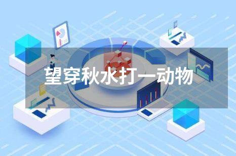 望穿秋水打一动物