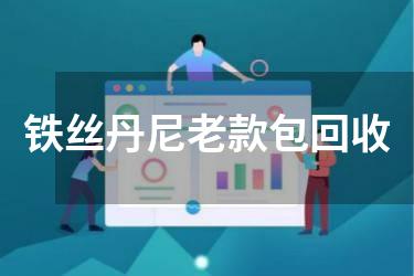 铁丝丹尼老款包回收