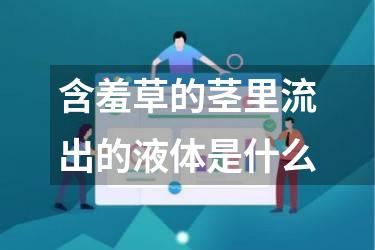 含羞草的茎里流出的液体是什么