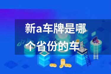 新a车牌是哪个省份的车
