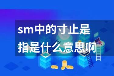 sm中的寸止是指是什么意思啊