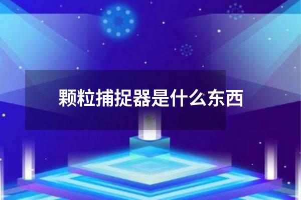 颗粒捕捉器是什么东西