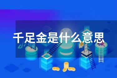 千足金是什么意思