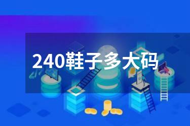 240鞋子多大码