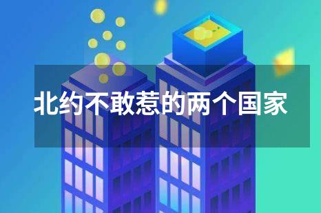 北约不敢惹的两个国家