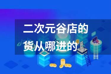 二次元谷店的货从哪进的