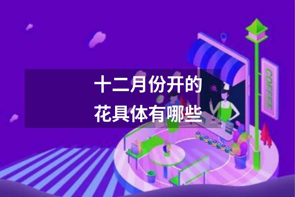 十二月份开的花具体有哪些