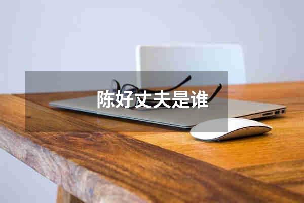 陈好丈夫是谁