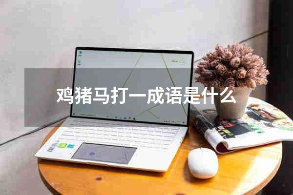 鸡猪马打一成语是什么