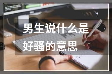 男生说什么是好骚的意思
