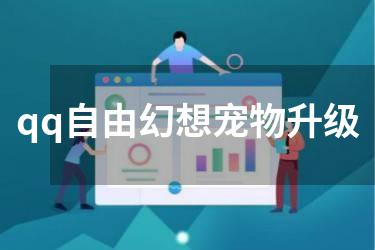 qq自由幻想宠物升级