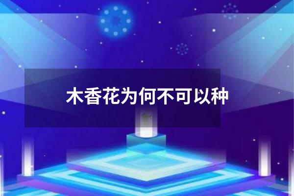 木香花为何不可以种
