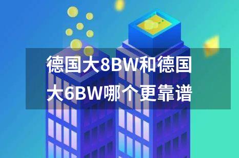 德国大8BW和德国大6BW哪个更靠谱