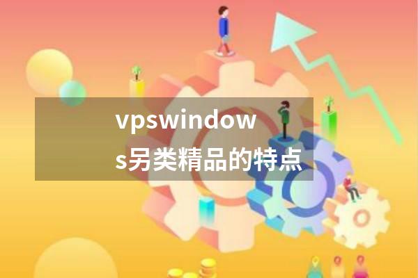 vpswindows另类精品的特点