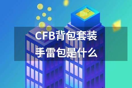 CFB背包套装手雷包是什么
