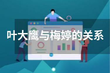 叶大鹰与梅婷的关系