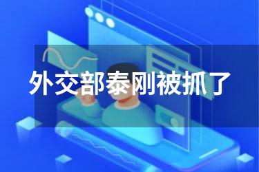 外交部泰刚被抓了