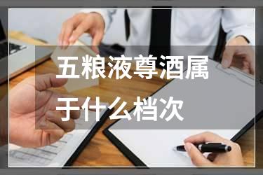 五粮液尊酒属于什么档次