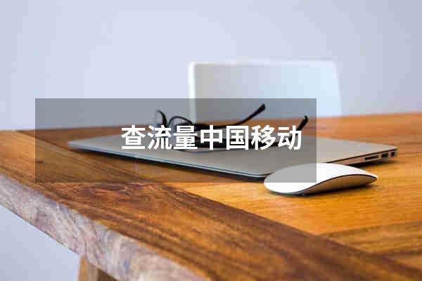 查流量中国移动