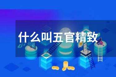什么叫五官精致