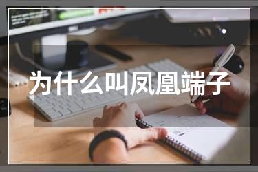 为什么叫凤凰端子