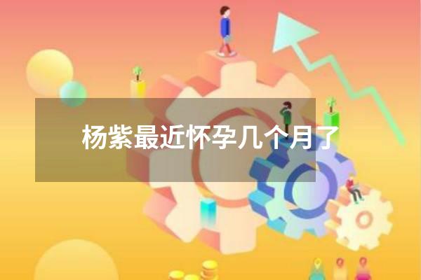 杨紫最近怀孕几个月了
