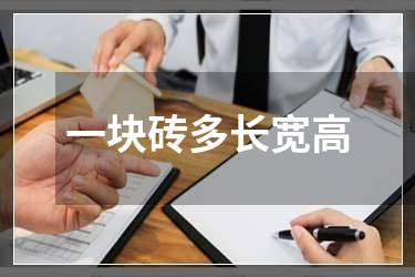 一块砖多长宽高