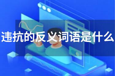 违抗的反义词语是什么