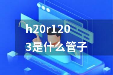 h20r1203是什么管子