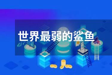 世界最弱的鲨鱼