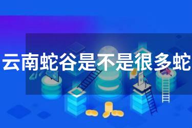 云南蛇谷是不是很多蛇