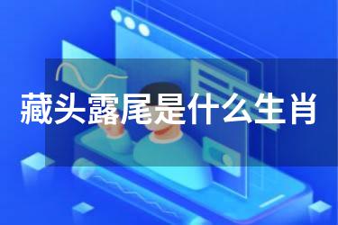 藏头露尾是什么生肖