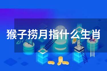 猴子捞月指什么生肖
